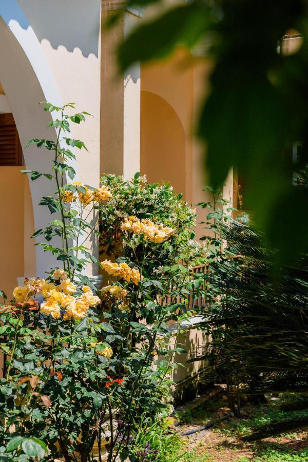 אצ'ארבי Ilena Hotel מראה חיצוני תמונה
