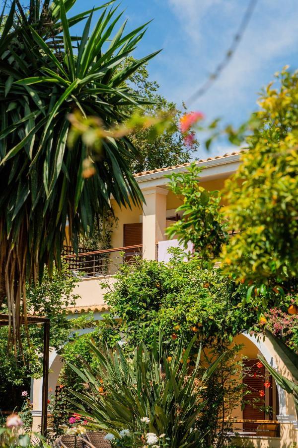 אצ'ארבי Ilena Hotel מראה חיצוני תמונה