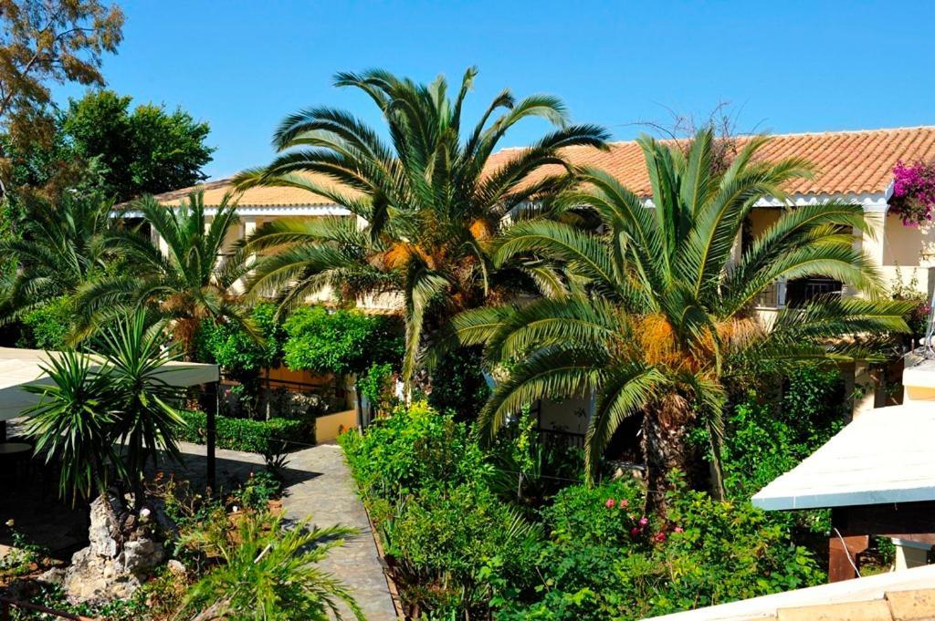 אצ'ארבי Ilena Hotel מראה חיצוני תמונה